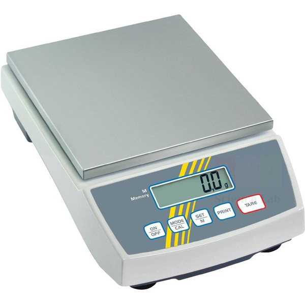Precision Digital Scale